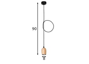 Aldex потолочный светильник Alf цена и информация | Настенный/подвесной светильник Eye Spot 11 BL, чёрный | 220.lv