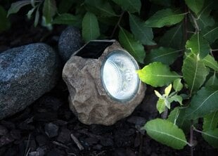 Садовый светильник с солнечной панелью Kivi цена и информация | Уличное освещение | 220.lv