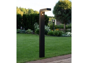 Садовый светильник с солнечной панелью Vici цена и информация | Уличное освещение | 220.lv