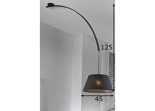 Griestu lampa, melna, 60 W цена и информация | Griestu lampas | 220.lv