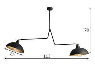 Griestu lampa Espace, melna, 2x 60 W цена и информация | Потолочные светильники | 220.lv