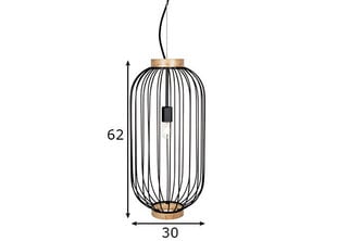 Подвесной светильник Globen Lighting цена и информация | Настенный/подвесной светильник Eye Spot 11 BL, чёрный | 220.lv