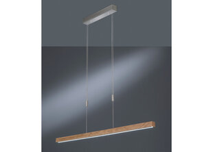 Griestu lampa Strasburg LED, ar 1x 24 W spuldzi cena un informācija | Griestu lampas | 220.lv