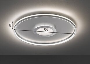 Griestu lampa Bug LED, alumīnija/hroma toņa, 42 W/5300 lm цена и информация | Потолочные светильники | 220.lv