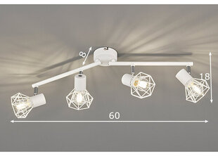 Griestu lampa Ran, balta, 4x 40 W cena un informācija | Griestu lampas | 220.lv