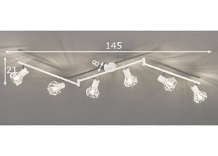 Ran светильник на потолок, белый цена и информация | Потолочные светильники | 220.lv