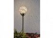 Dārza lampa ar saules paneli Glory cena un informācija | Āra apgaismojums | 220.lv