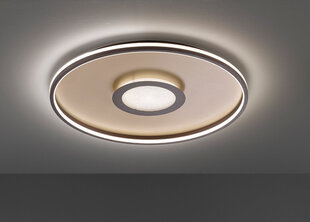 LED griestu lampa Bug, zelta/rūsas tonī, 42 W/5300 lm cena un informācija | Griestu lampas | 220.lv
