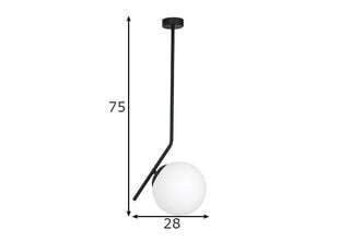 Griestu lampa Luna, melna/balta, 1x 60 W цена и информация | Потолочные светильники | 220.lv