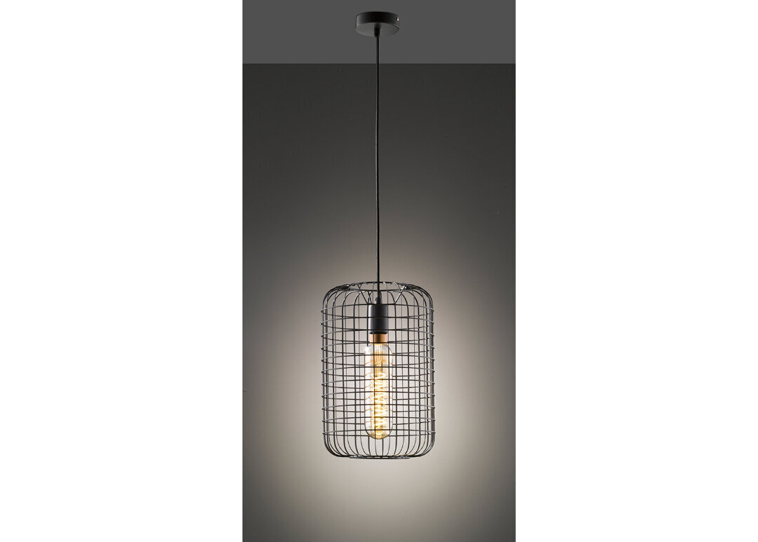 Griestu lampa Titus, melna, 1x 60 W cena un informācija | Griestu lampas | 220.lv