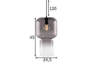 Потолочный светильник Nog, дымчатый цена и информация | Люстры | 220.lv