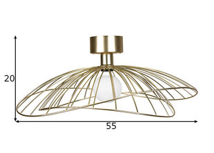 Plafonlampa Ray, birstēta misiņa, 60 W цена и информация | Настенные светильники | 220.lv