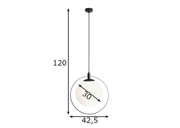 Griestu lampa Aura, melna/balta, 60 W cena un informācija | Piekaramās lampas | 220.lv