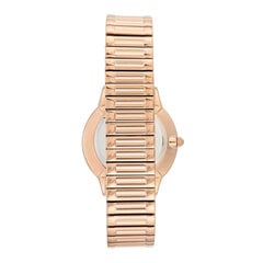 Sieviešu rokas pulkstenis Anne Klein AK/3684SVRG 891154405 цена и информация | Женские часы | 220.lv