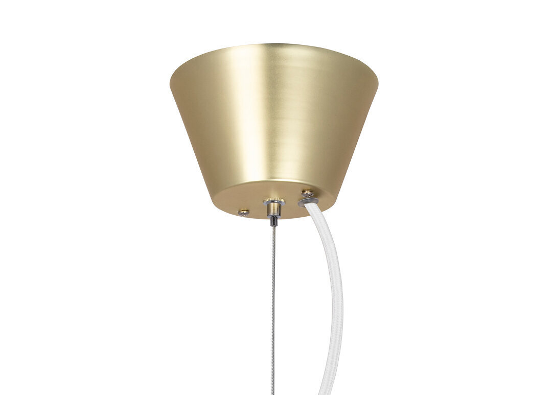 Globen Lighting piekaramā lampa Gemini цена и информация | Lustras | 220.lv