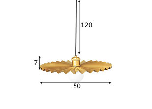 Globen Lighting piekaramā lampa Omega цена и информация | Люстры | 220.lv