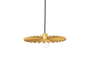 Globen Lighting piekaramā lampa Omega цена и информация | Люстры | 220.lv