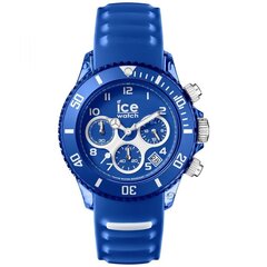 Sieviešu pulkstenis Ice Watch 001459 цена и информация | Женские часы | 220.lv