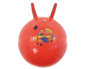 Мяч Kенгуру 45cm цена и информация | Игрушки для песка, воды, пляжа | 220.lv