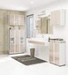 Vannas istabas skapītis NORE Fin S30, balts/smilškrāsas cena un informācija | Vannas istabas skapīši | 220.lv