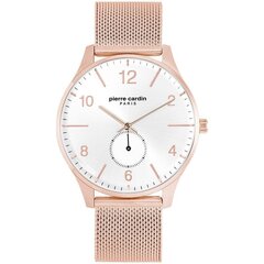 Мужские часы Pierre Cardin PC902671F131 цена и информация | Мужские часы | 220.lv