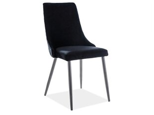 2-u krēslu komplekts Signal Meble Piano B, melns cena un informācija | Virtuves un ēdamistabas krēsli | 220.lv