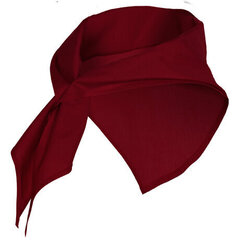 Шарф треугольной формы цена и информация | Женские шарфы, платки | 220.lv