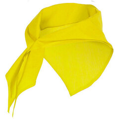 Шарф треугольной формы цена и информация | Женские шарфы, платки | 220.lv