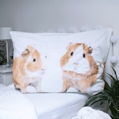 Gultas veļas komplekts Guinea pig 140 x 200 cm + spilvendrāna 70 x 90 cm цена и информация | Детское постельное бельё | 220.lv