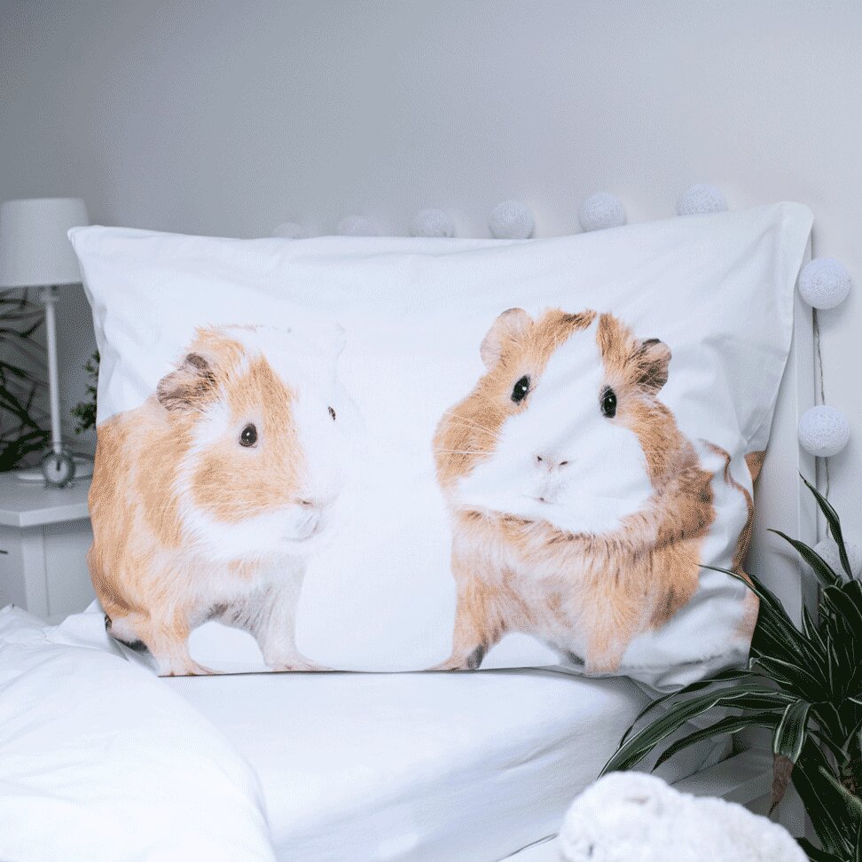 Gultas veļas komplekts Guinea pig 140 x 200 cm + spilvendrāna 70 x 90 cm cena un informācija | Bērnu gultas veļa | 220.lv