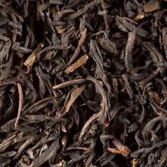 HoReCa, Darjeeling, черный чай, 24 шт. цена и информация | Чай | 220.lv
