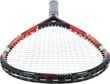 Ātrā badmintona komplekts Nils Extreme NRS001, 2 raketes, volāni, futrālis cena un informācija | Badmintons | 220.lv
