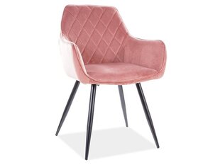 Комплект из 2-х стульев Signal Meble Linea, розовый цена и информация | Стулья для кухни и столовой | 220.lv