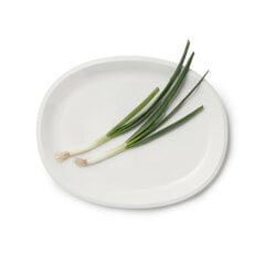 Iittala Raami servēšanas trauks ovāls 35cm balts цена и информация | Посуда, тарелки, обеденные сервизы | 220.lv