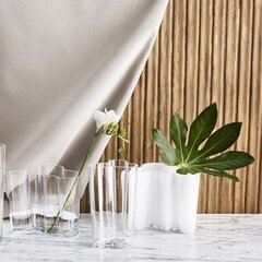 Ваза Iittala Aalto 95 мм, опаловая цена и информация | Вазы | 220.lv