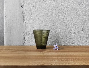 Ваза Iittala Kastehelmi moss green, 154 мм цена и информация | Вазы | 220.lv