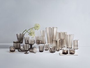 Iittala Kartio kanna 95 cl, bēšā krāsā цена и информация | Стаканы, фужеры, кувшины | 220.lv