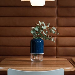 Ваза-капсула Muurla, стекло, прозрачная, темно-синяя, Ø 13 см, В 18-28 см цена и информация | ваза для цветов с подставкой 3 шт. | 220.lv