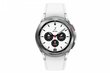 Samsung Galaxy Watch4 Classic SM-R880 Silver cena un informācija | Viedpulksteņi (smartwatch) | 220.lv