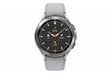 Samsung Galaxy Watch 4 Classic (BT,46mm) SM-R890NZSAEUD cena un informācija | Viedpulksteņi (smartwatch) | 220.lv