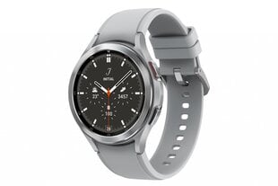 Samsung Galaxy Watch4 Classic SM-R890 Silver цена и информация | Смарт-часы (smartwatch) | 220.lv