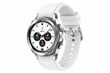Samsung Galaxy Watch 4 Classic (LTE,42mm), Silver SM-R885FZSAEUD cena un informācija | Viedpulksteņi (smartwatch) | 220.lv