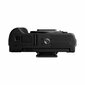 Panasonic Lumix G DC-G100 (110) Body (Black) цена и информация | Digitālās fotokameras | 220.lv