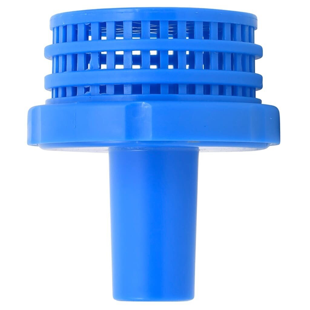 Virszemes filtru komplekts, 30 mm cena un informācija | Baseina filtri | 220.lv
