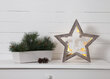 Dekors ar LED diodēm Fauna, brūnā krāsā cena un informācija | Ziemassvētku dekorācijas | 220.lv