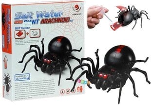 Ar sālsūdeni darbināms zirneklis цена и информация | Развивающие игрушки | 220.lv