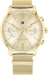 Женские часы Tommy Hilfiger 1782302 цена и информация | Женские часы | 220.lv