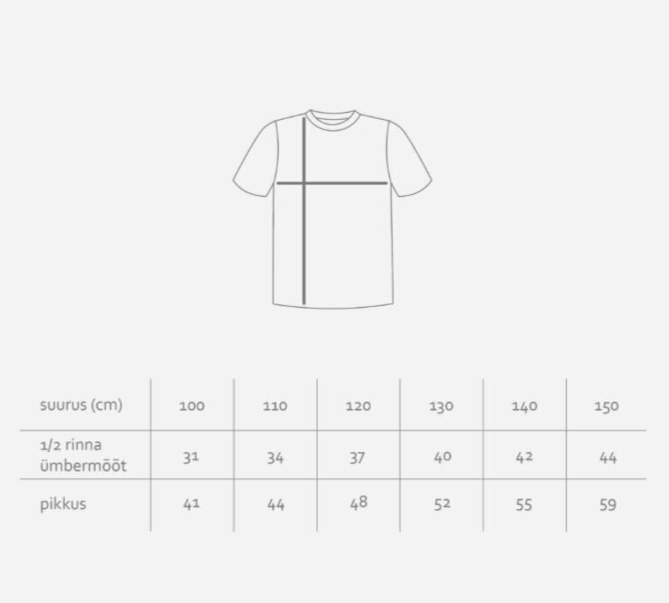 Bērnu T-krekls Marat SPP24019*01, pelēks cena un informācija | Zēnu krekli | 220.lv