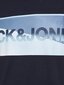 Vīriešu T krekls Jack & Jones cena un informācija | Vīriešu T-krekli | 220.lv