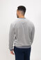 Samta džemperis vīriešiem ar V veida izgriezumu SMP21017, pelēks cena un informācija | Vīriešu jakas | 220.lv